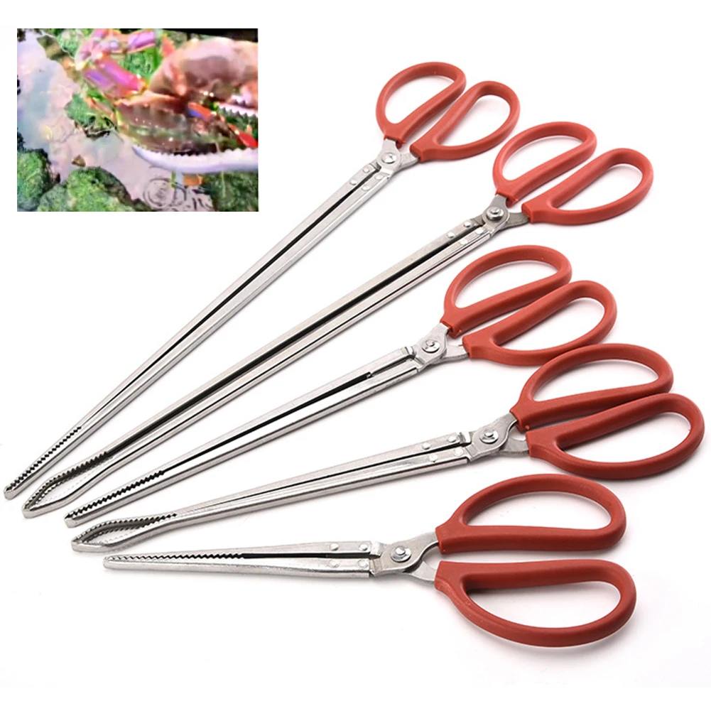 

Hand Tool Durable Anti Slip Kitchen Stainless Steel Crab Tongs Eels Clip Reinforced Multifunction Long Handle Seafood Octopus
