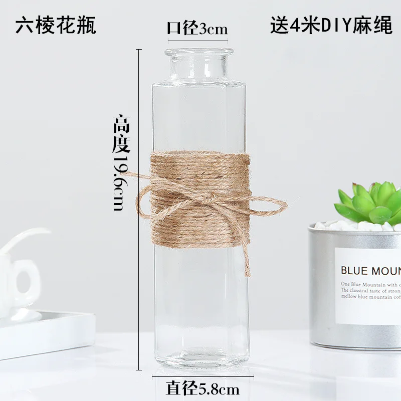 Creative Nordic Glass Vases Living Room Table Decoration Transparent Water Hydroponics Flower Rope Dry Flower Vase Diy Bottle - Цвет: H  19.6CM height
