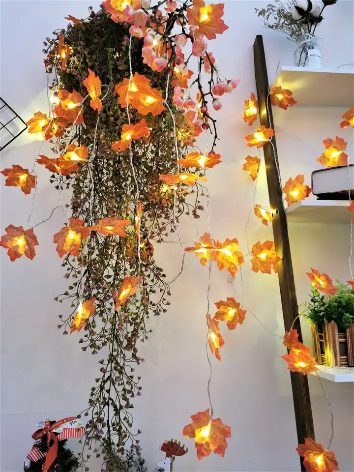 11677379757_1099349780