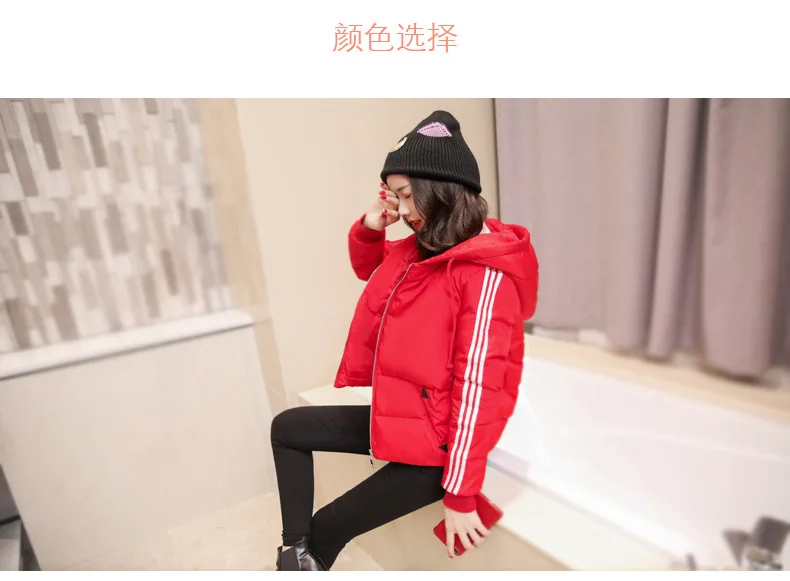 Осень ; стиль; модная теплая хлопковая стеганая одежда; AliExpress EBay