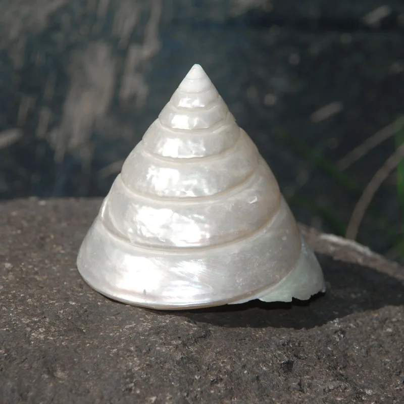 Модные белые раковины из натуральной ледяная башня предметы интерьера для дома и