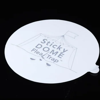 

High Strong Flea Trap Glue Discs Pest Traps Bugs Sticky Board Catching Flea Insect Killer Home Glue Stickers Non Poisonous