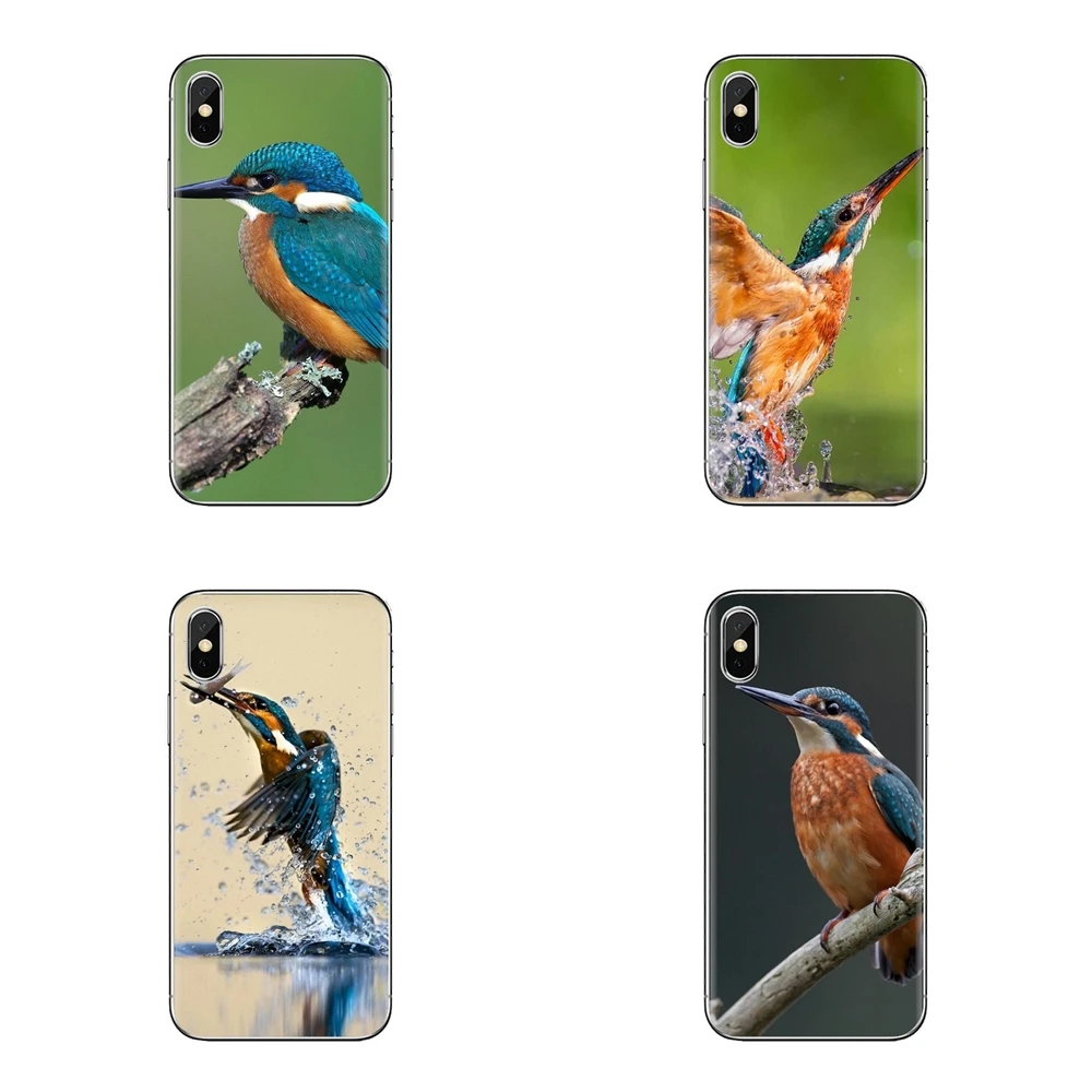 Силиконовый чехол Обложка прекрасный Kingfisher птица для iPhone XS Max XR X 4 4S 5 5S 5C SE 6 6S 7 8