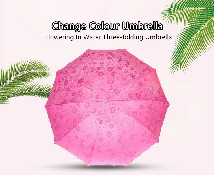 change colour fold umbrella (12)