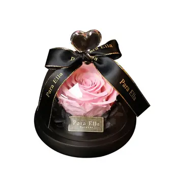 

Enchanted Rose Handmade Preserved Rose Glass Dome on Wood Base