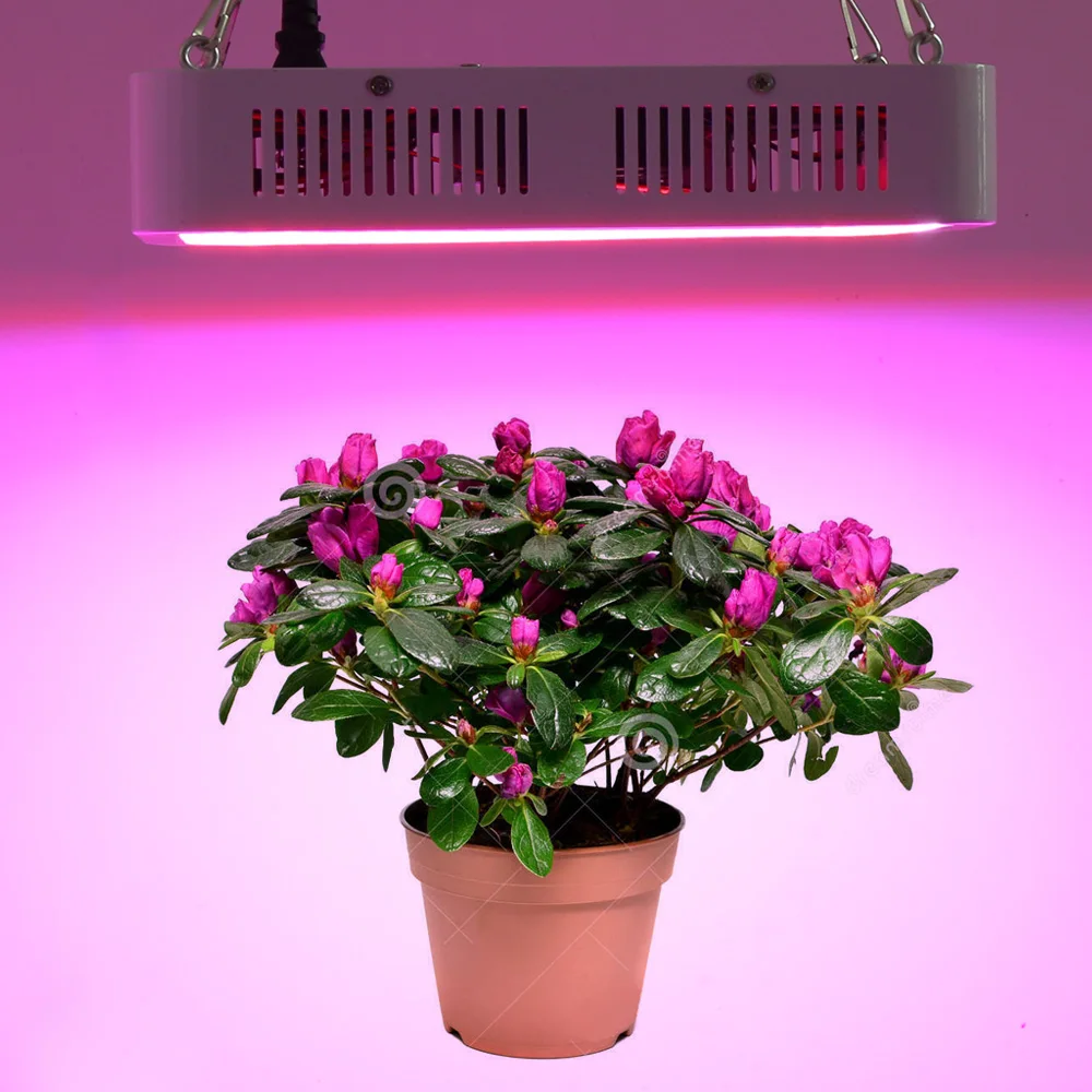 

LED Plant Grow Light,with Thermometer Humidity Monitor,with Adjustable Rope,Full Spectrum Plant Light for Indoor 400W/600W/800W