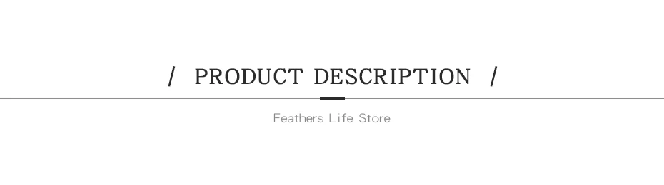 product description