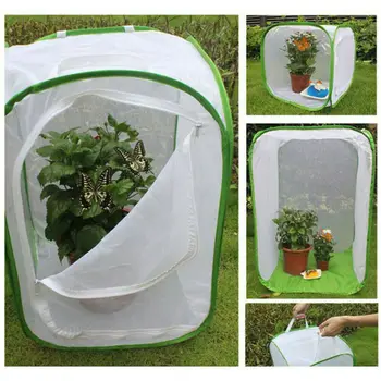 

Foldable Butterfly Habitat Insect Cage Mesh Transparent Surface Portable Zipper
