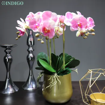

INDIGO Pink Phalaenopsis Orchid (5 flower/stem) Real Touch Artificial Orchids Flower Wedding Flower Floral Party Decoration