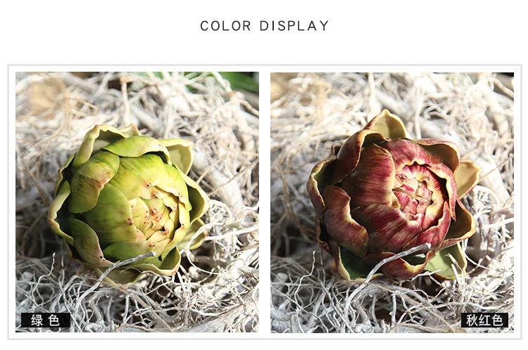 5250576072_1885843273