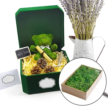 

Preserved Reindeer Moss Decorative Bryophyte Grass for DIY Micro Landscape Eco Bottle Furniture Decoration 200g