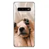 Mobile Phone Accessories
