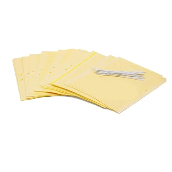 

20 Pack Dual Sticky Traps 8 x 10 Inch for Flying Plant Insect (Twist Ties Included)
