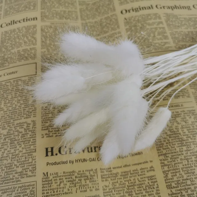 15Pcs Dried Reed Flower Arrangement Natural Pampas Grass For  Modern Home Decoration Party Backdrops Wedding Supplies as chart