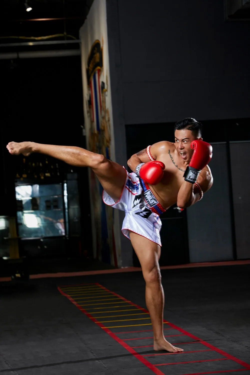 PUGILIST thai-black thai-pants шорты mma шорты для единоборств Бодибилдинг боевые искусства тренировочные боксеры