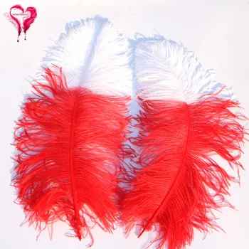 

Customized Color Dyed White and Red Real Ostrich Feather Pole 60-65 CM Long Fluffy Feather Home Party Accessory for Craft Plumes