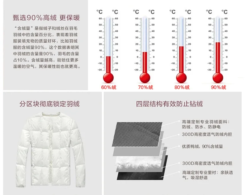 Sakura Chiba Autumn And Winter Middle-aged New Style WOMEN'S down Jacket Short Slim Fit Warm down Feather Liner Middle-aged Wome
