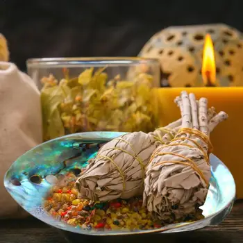 

Conch Blue Abalone Shell Decontamination Bowl Shell Incense Burner Home Decoration Daily Use