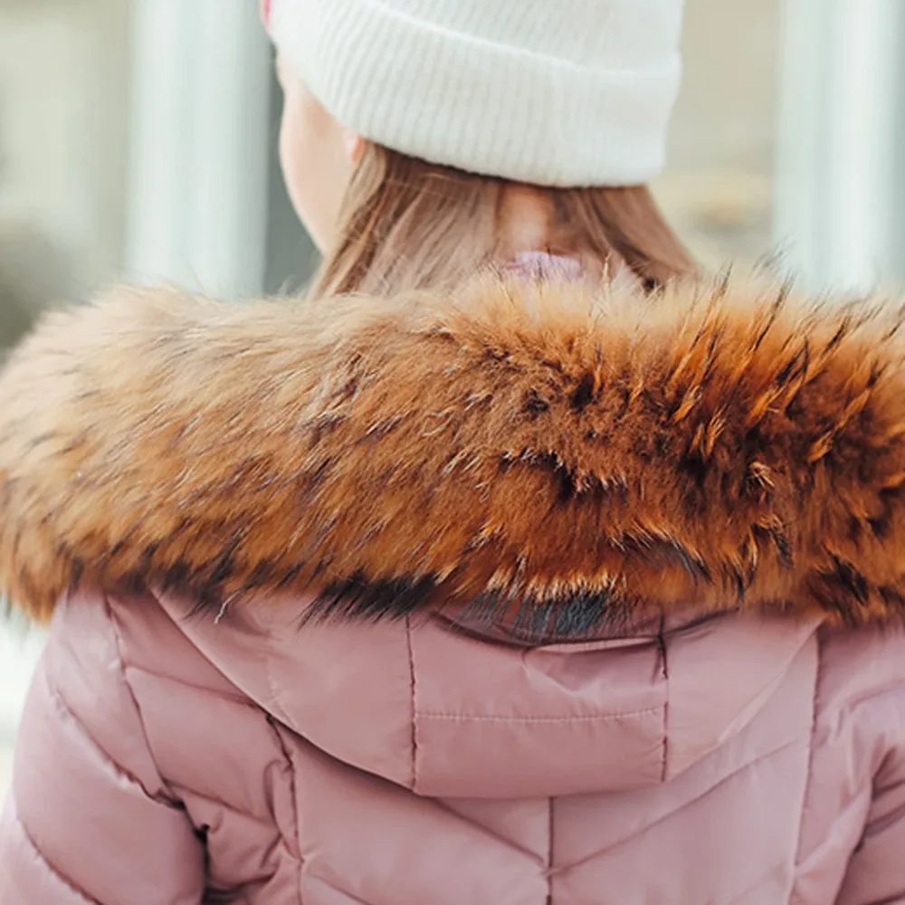 42 - CSF91016484_0501455723913016411