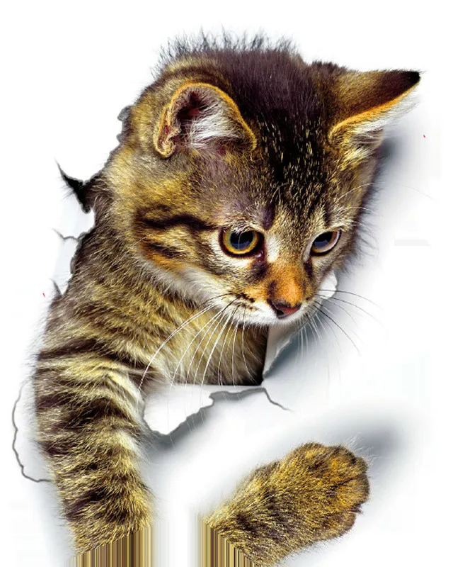 Vivid Cats 3D настенная наклейка для ванной туалета гостиной кухни украшения животных