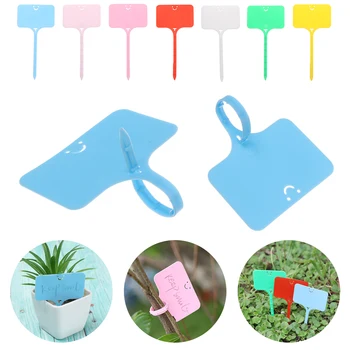 

100 Pcs T Shape Garden Labels Gardening Plant Classification Markers Sorting Seedling Tags Greenhouse Nursery Pots Writing Plate