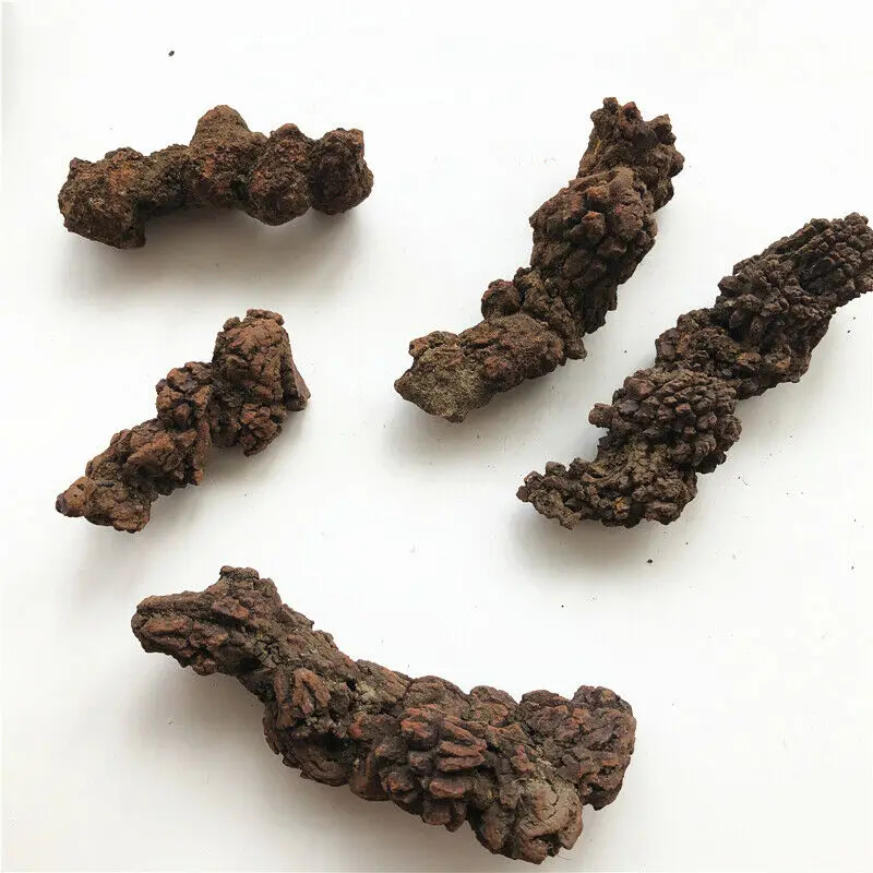 1 шт. натуральный динозавр Dejecta Fossil грубый Feces Fossil образец натуральные кристаллические минералы 30-100 грамм