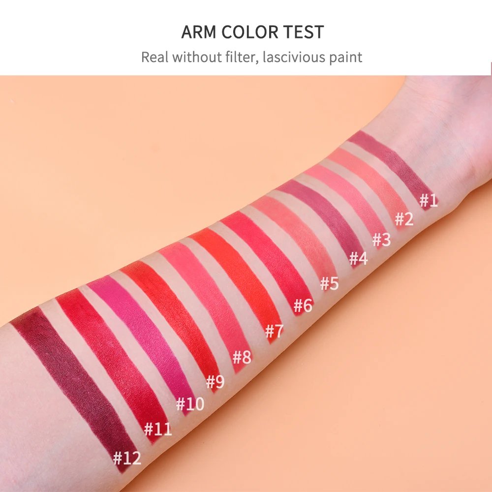 3.5g Matte Lipstick 12 Colors Lip stick Lip Tint Matte Velvet 24h Long Lasting Lip Gloss Crayon Lip Balm Lip Makeup Cosmetic