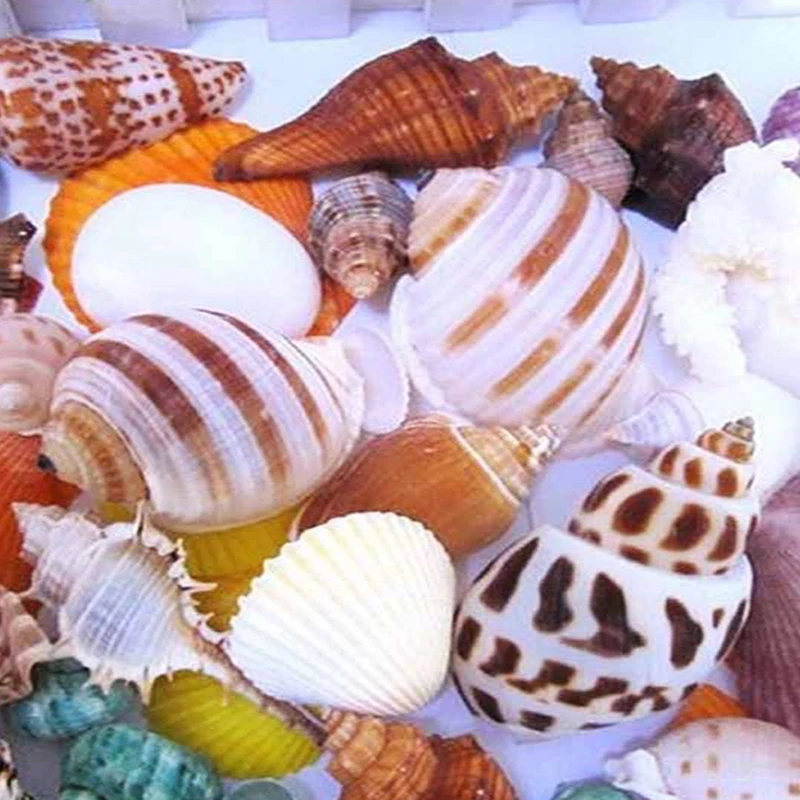 Аквариум Пляж морской DIY Смешанные оптом около 100 г морские раковины Рождественский Декор