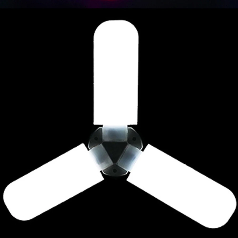 D2