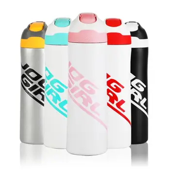 

FEIJIAN Premium Stainless steel Double Wall Vacuum Insulated Straw lid water bottle 550ml with Vacuum Flask Sports Bottle Fitnes