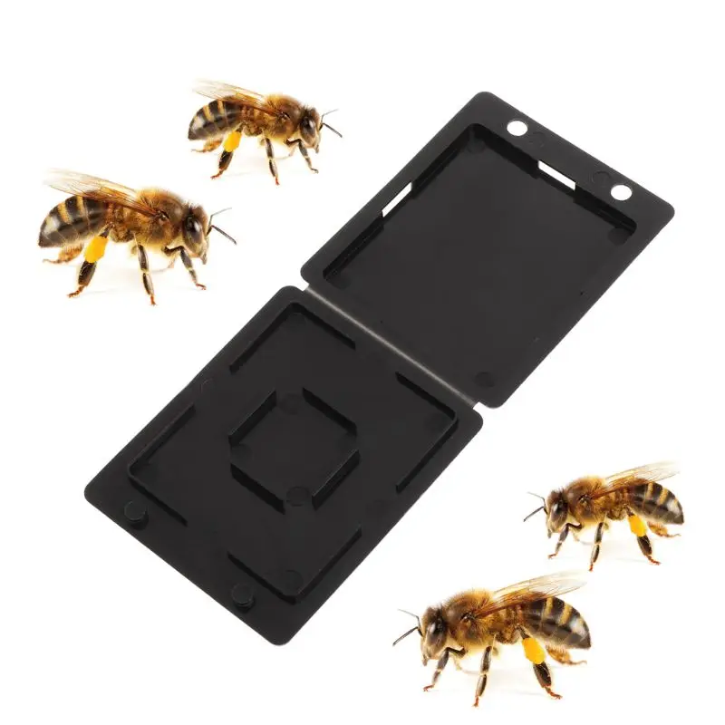 

5Pcs Beehive Bee Trap Beetle Collector Insect Container Beekeeping Storage Nest Hive Case Catching Lid For Garden Farmer K4UA