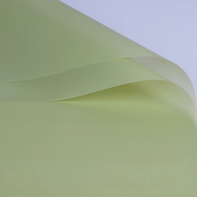 Bamboo cyan 20 шт чистый цвет утренний туман мягкая бумага света Толстый водонепроницаемый цветок букет оберточная бумага цветочный гербарий оберточная бумага - Цвет: Bamboo cyan
