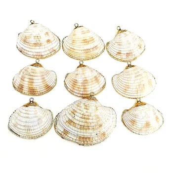 

Natural Shell Beads Gilded Rim Conch Scallop Shell Pendant Handmade DIY Necklace Pendant Jewelry Accessories