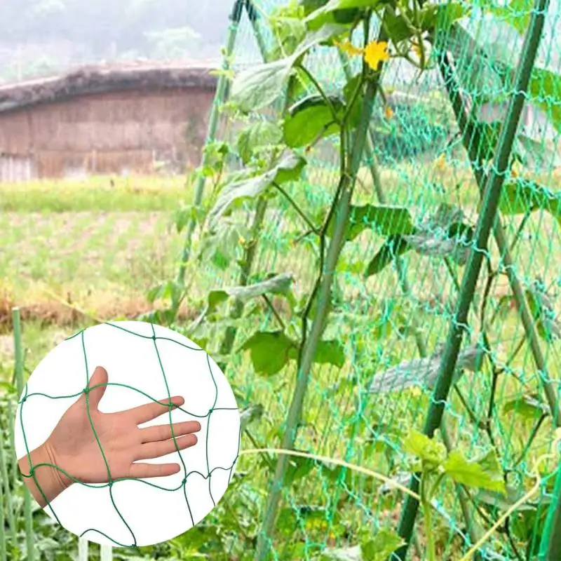 Garden Climbing Plants Support Trellis Net Tomato Cucumber Grid Size