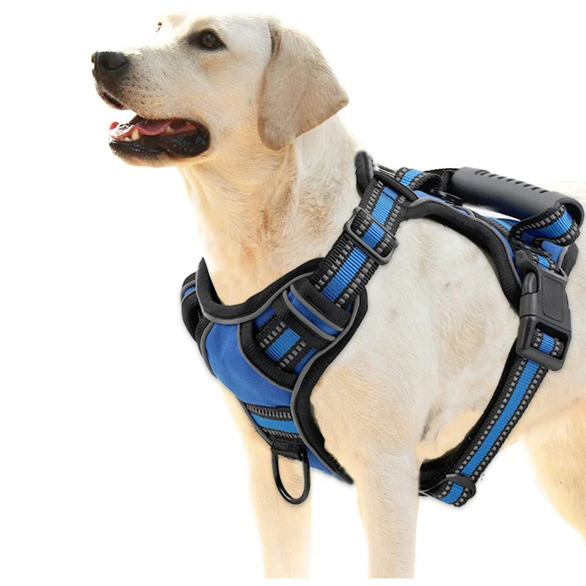 no Pull choke cane gilet per allenamento Walking jogging XS Chest 18-21in Dihapet cablaggio del cane Service Dog Vest Color Grid 