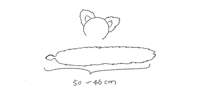 TB2S_4dfaLN8KJjSZFmXXcQ6XXa_!!559360974