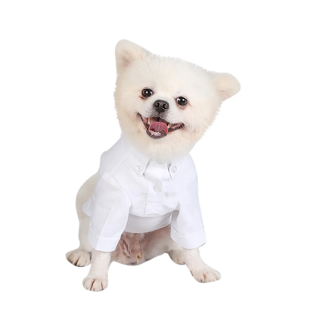 Ocardian Dog shirt pure color Pets Costumes Spring& fall Breathable Shirts tshirt dogs shirt dog clothes drop shipping new - Цвет: Белый