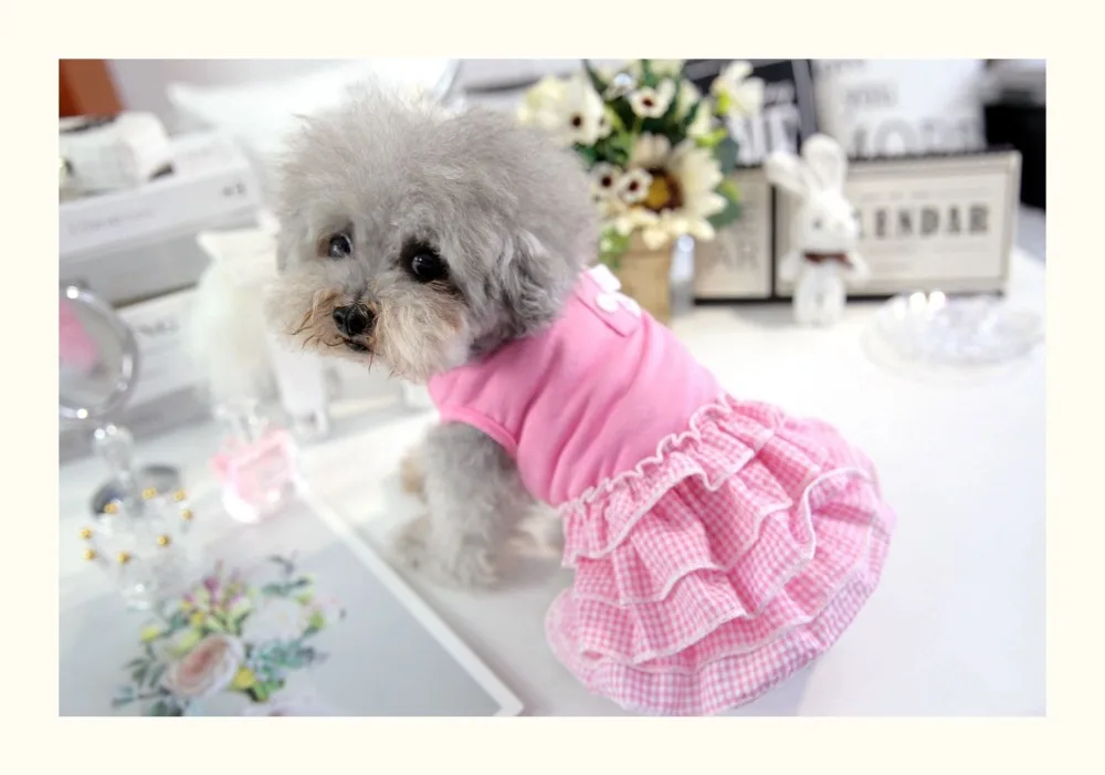 O1CN01bdZlpn219U5aRgnl7_!!323036942