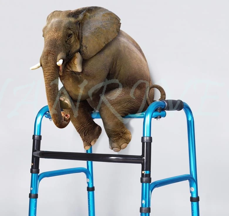 36020181113154119586