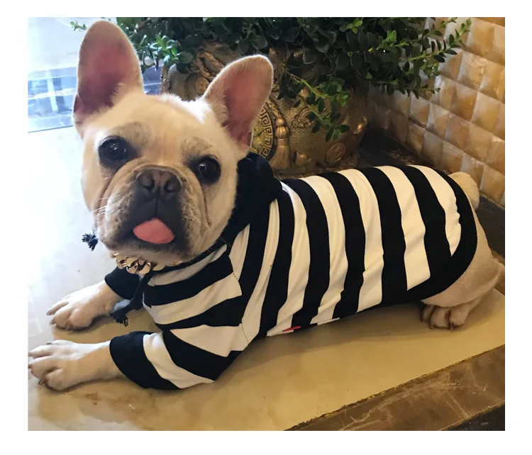 Одежда для домашних животных весна и осень Маленькая плюшевая собака кошка собака полосатый с капюшоном Повседневная одежда для собак Толстовка для собак хлопковая толстовка с капюшоном