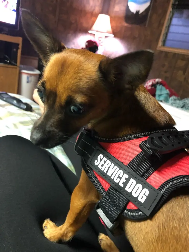 UTB8DgE7wSbIXKJkSaefq6yasXXaX