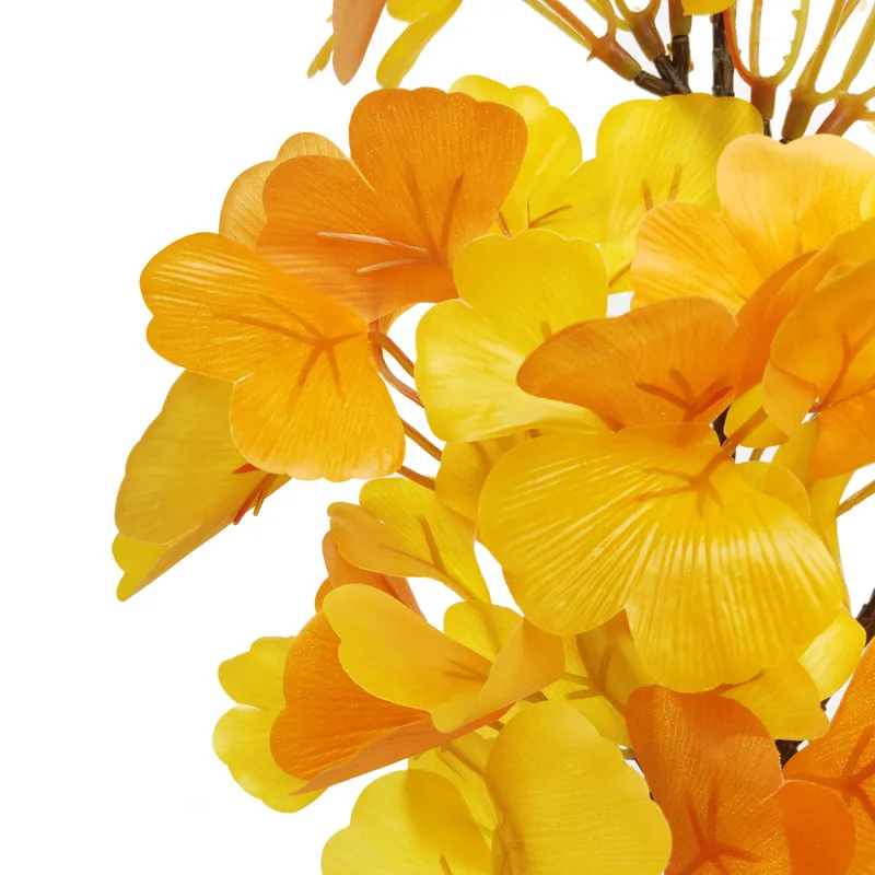 12034973378_1493019570