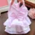 2020 Pet Dog Dress Princess Puppy Cat Dresses For Small Medium Dogs Chihuahua Pet Clothing Yorkshire Dog Dresses Pug Ropa Perro