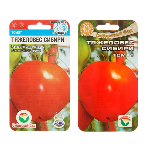 Томаты Тяжеловес Сибири Отзывы Фото