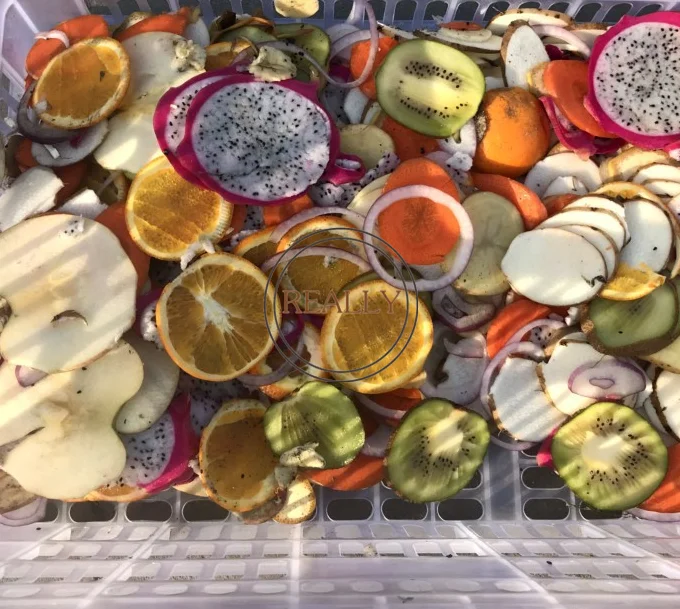 500kg/hour Stainless steel multi function fruit and vegetable transect beveling slicer cutter machine