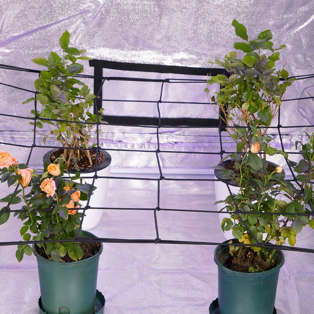 Inkbird Grow Sátor Rácsos Nettó 36 Négyzet Alakú Terek Optimális Háló, Amelyet Széles Körben Használnak Virágzáshoz, Cserepes Növényekhez, Gyümölcsökhöz, Zöldségekhez