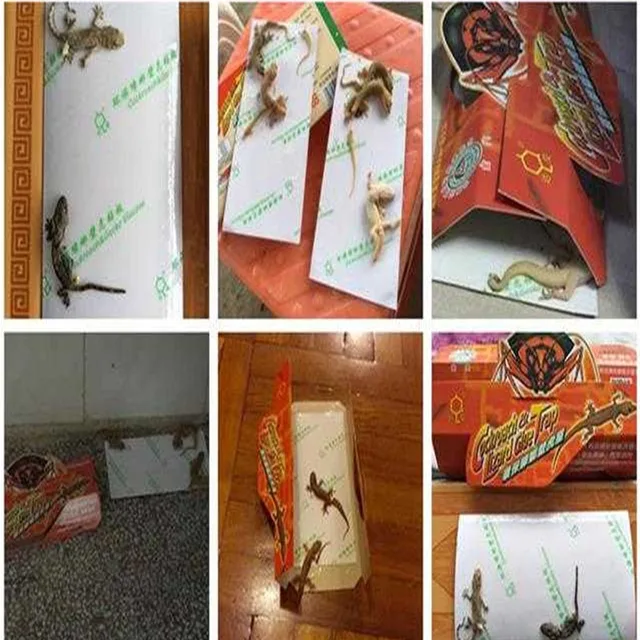 10Db Hajtogatás Cacture Cótányok Gecko House Erős Fizikai Környezetvédelem Ártalmatlan Fogási Tárgy Rovar Ragasztó Tábla - Image 5