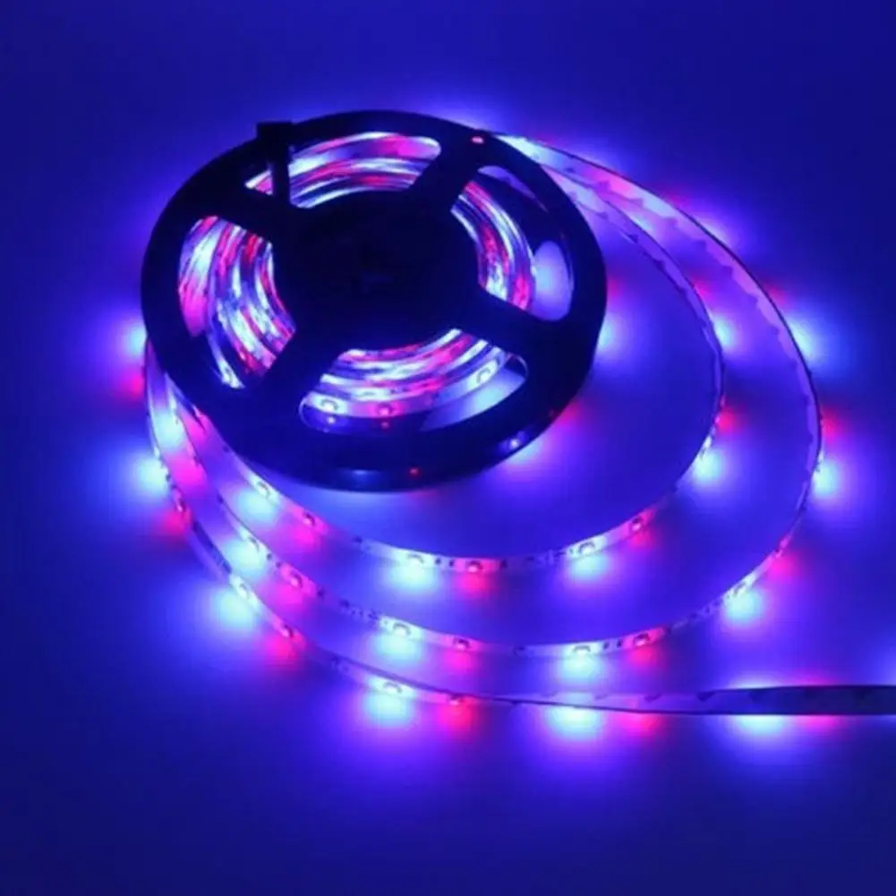 5M LED Light Strip Remote Control Infrared 3528SMD RGB Flexible Strip Light With Strong Adhesion For Indoor Decoration Lighting
5M LED Light Strip Remote Control Infrared 3528SMD RGB Flexible Strip Light With Strong Adhesion For Indoor Decoration Lighting