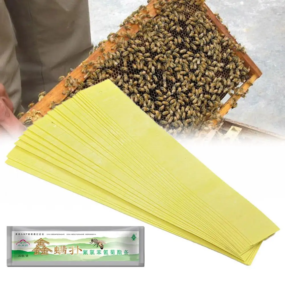 

20pcs/bag Varroa Strips Fluvalinate Bee Mite Killer Treatment Tool Beekeeping Pest Control For Drop Shipping