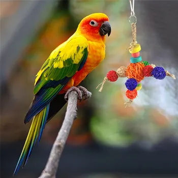 

Color Small And Medium-Sized Parrots Nibble Sepak Takraw Toy Pet Bird Chew Bite Ball String Sling Toy Pet Supplies
